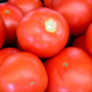 tomate buzau 22 pentru gradina ta traditionala