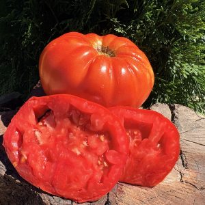 Roșii Marinda – fruct turtit, costat, tăiat în două
